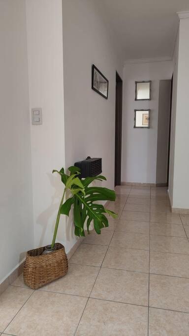 Apartment Departamento Sacmi